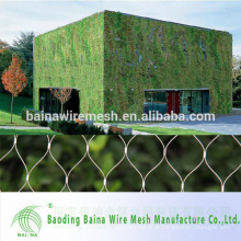 Rede de malha de fio de aço inoxidável para escalar parede de planta verde